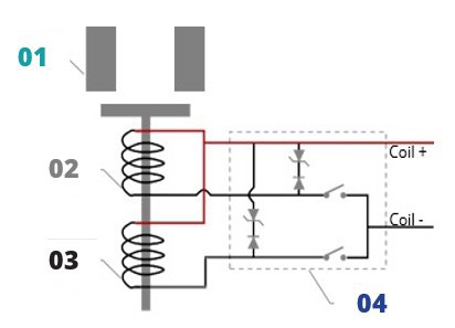 Dual coil, without auxiliary contact
